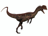 Dilophosaurus on White