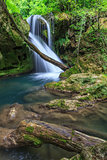 Vaioaga waterfall