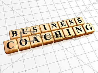 business coaching in golden cubes