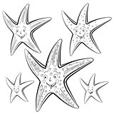 Starfish cartoon.