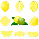Icon Set Lemon