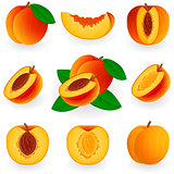 Icon Set Peach