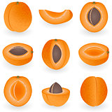 Icon Set Apricot