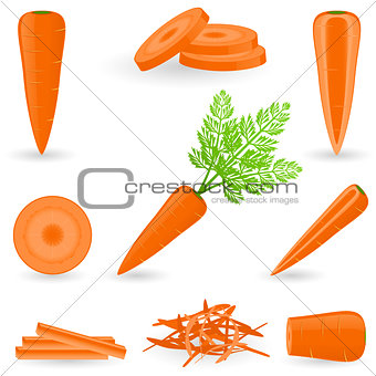 Icon Set Carrot