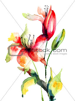 Original Lily flower