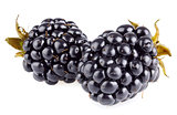 two ripe blackberry (macro)