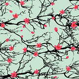 Seamless tree pattern. Japanese cherry blossom