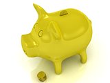 Yellow piggy bank and gold coins