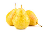 Three ripe yellow pears