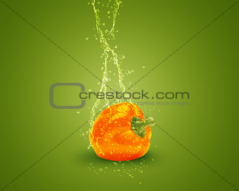 Fresh orange bell pepper