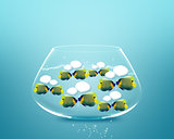 angelfish faces as social network with speech bubbles.