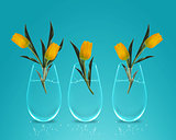 Three Yellow colorful Tulips 