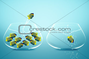 Anglefish jumping to Big bowl
