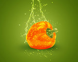 Fresh orange bell pepper