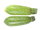 fresh zucchini fruits