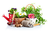 flowers in pot with garden tools