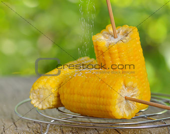 corn boiled 