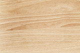 beech wood texture close up