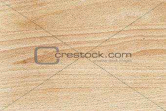 beech wood texture close up