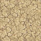 Cracked Brown Soil. Seamless Texture.