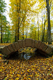 Bridge and color leaves in Autumn