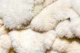 Fluffy sheep skin background