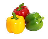 Red green and yellow sweet  bell pepper isolated on white backgr