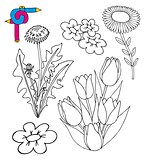 Coloring image flowers