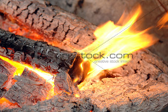 Burning logs in the fireplace