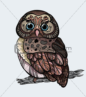 Cartoon owl