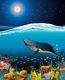Seascape with floating whale and night sky
