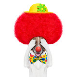clown dog with red wig and hat 