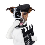 movie director dog