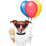 dog with ice cream
