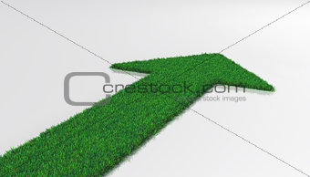 grass carpet with arrow