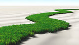 grassy path on the sand