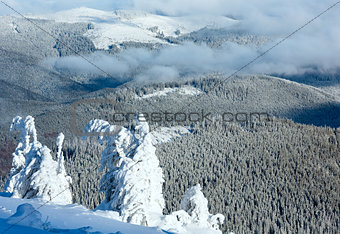 Winter mountain landscape with snowy trees