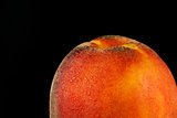 Peach close-up