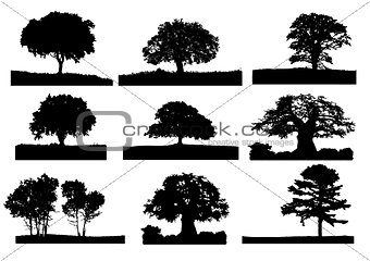 trees silhouette 004