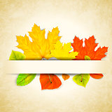 Autumn leaves on scratched paper background