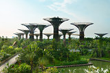Gardens by the Bay Singapore with supertrees