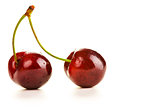 tasty ripe sweet cherry