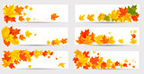 Set of autumn banners with colorful leaves. Back to school. Vect