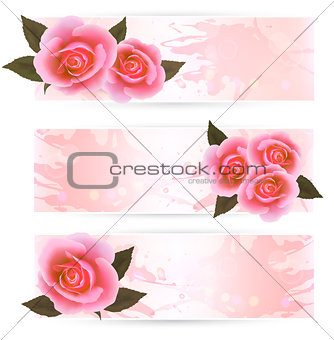 Three holiday banners with pink beautiful roses. Vector 