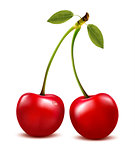 Two red cherry berries with leaf. Vector. 