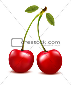 Two red cherry berries with leaf. Vector. 