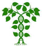 DNA nature plant