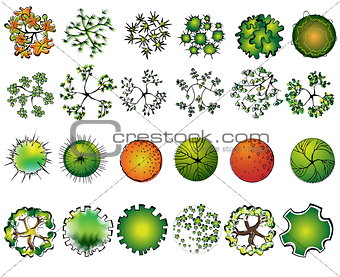 A set of colored treetop symbols, for architectural or landscape design 