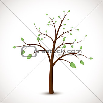 tree with green leaves