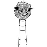 Ostrich bird head as symbol for mascot or emblem design, logo vector illustration for t-shirt.